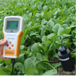 多參數(shù)土壤水份、溫度速測(cè)儀